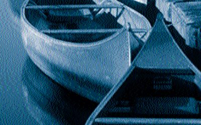 Ik zie ik zie wat jij niet ziet