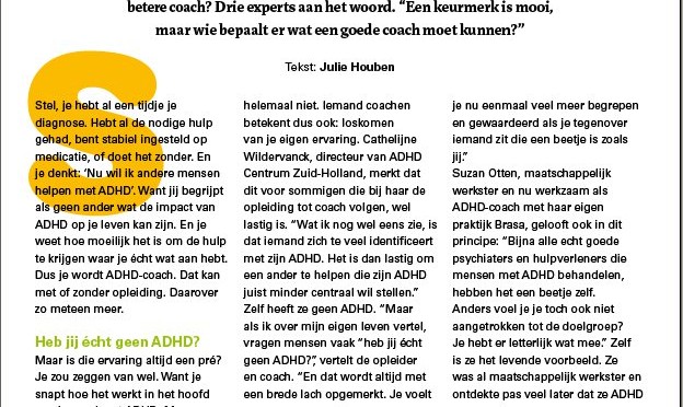 Deskundig of desklunzig