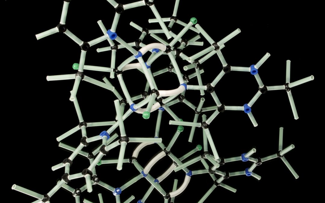 ADHD begeleiding: Het belang van de tweede helft