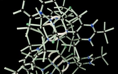 ADHD begeleiding: Het belang van de tweede helft