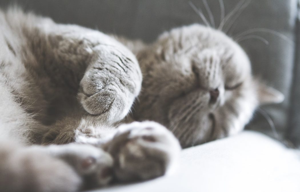 Waarom makkelijk doen!