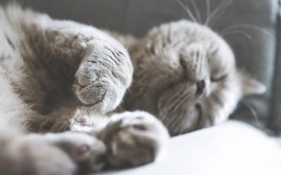 Waarom makkelijk doen!