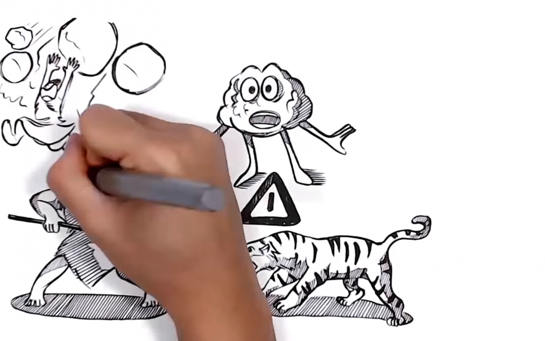 Van overleven naar leven