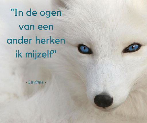 De ogen van de ander