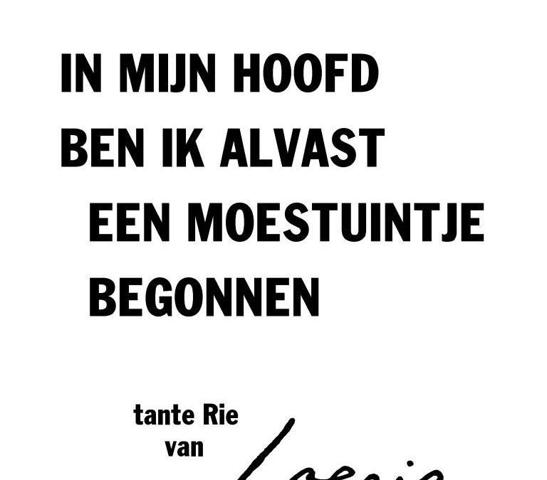 Wat ga je doen na de pauze?